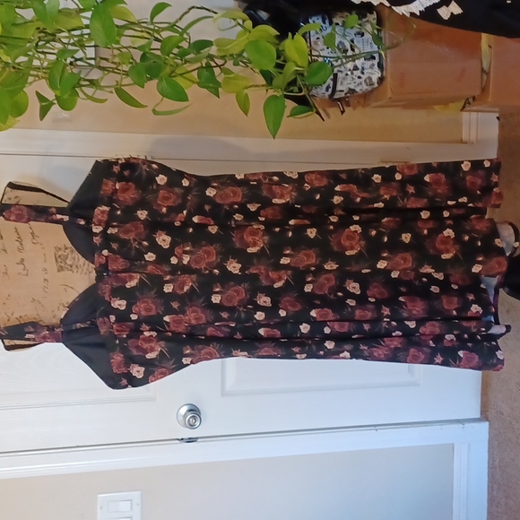NWT Hot topic,Dark floral Retro dress with pockets 2x elastic waist in back - Picture 8 of 16